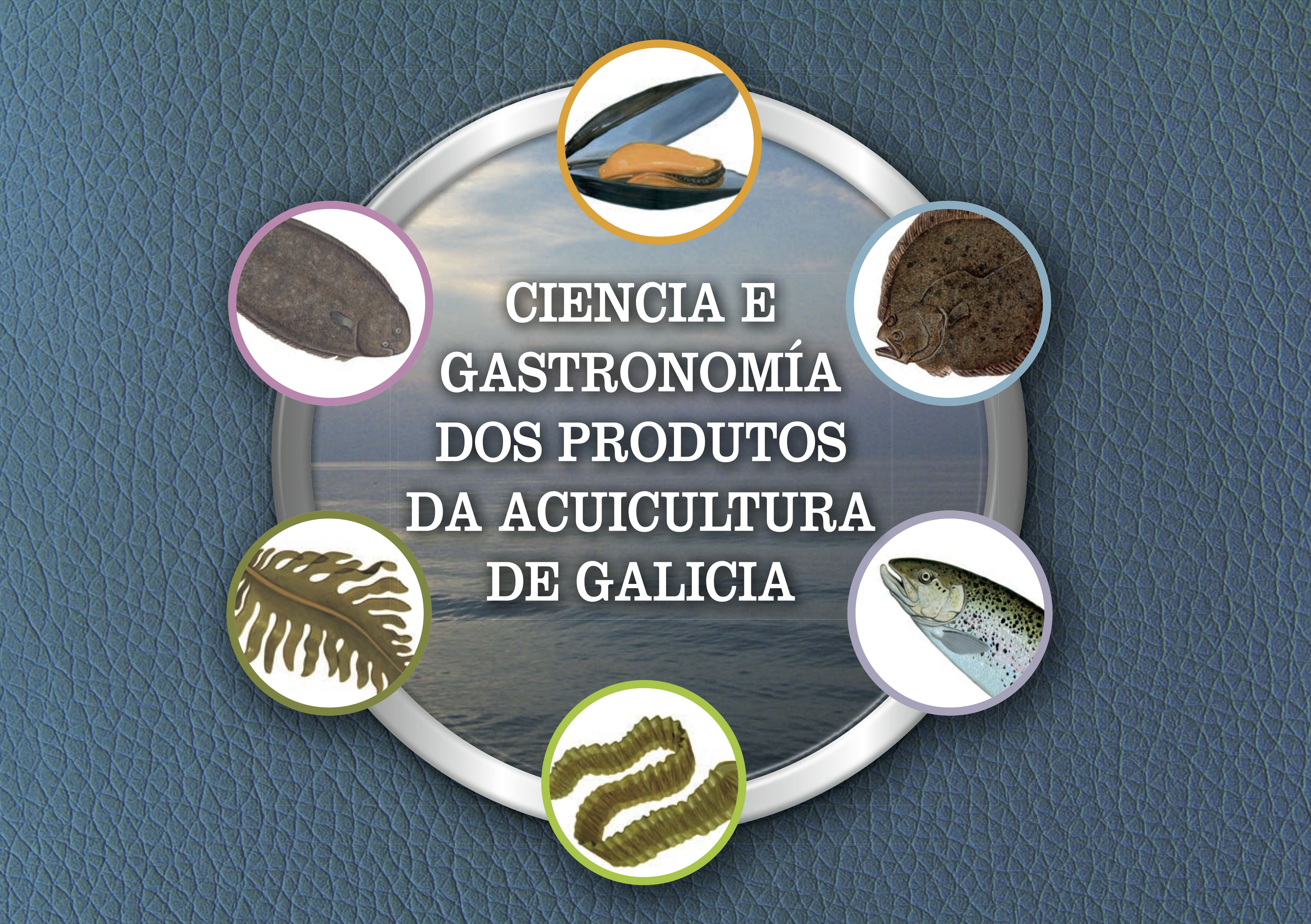 Gallego